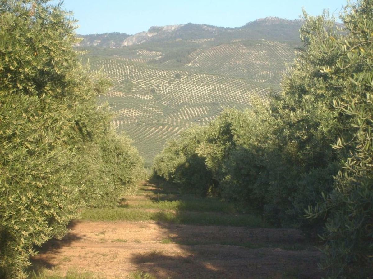 Cortijo El Derramadero Villacarrillo Exterior foto